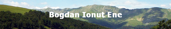 Bogdan Ionut Ene