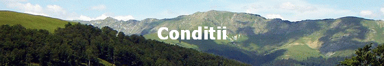 Conditii