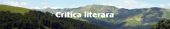 Critica literara