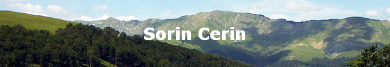 Sorin Cerin