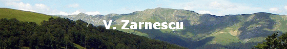 V. Zarnescu