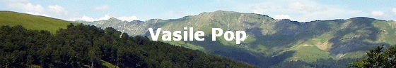 Vasile Pop