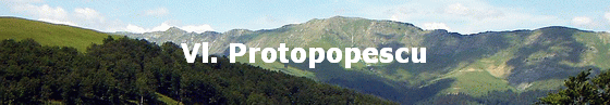 Vl. Protopopescu