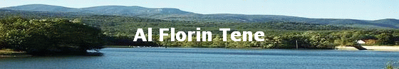 Al Florin Tene