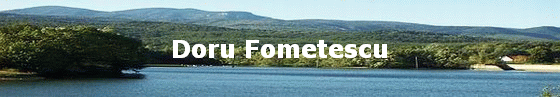 Doru Fometescu